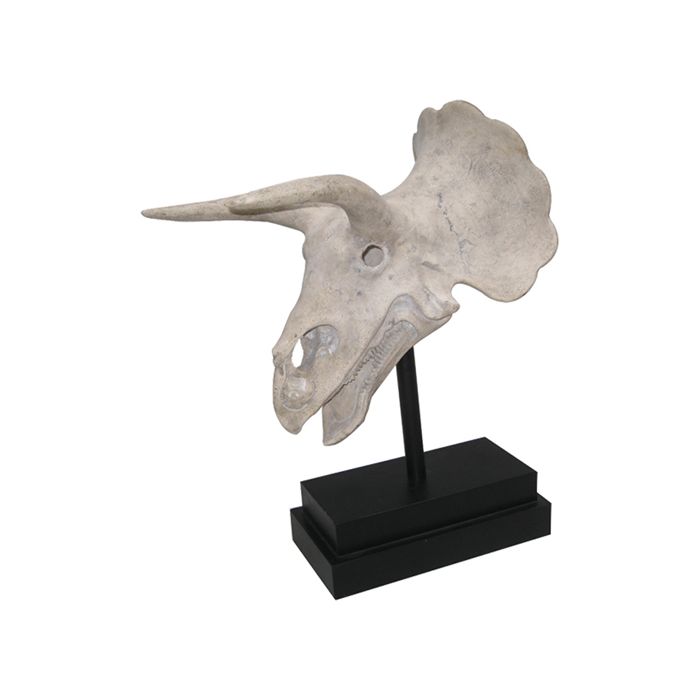 Triceratops Schädel auf Sockel lebensgroß Dekoköpfe & Büsten