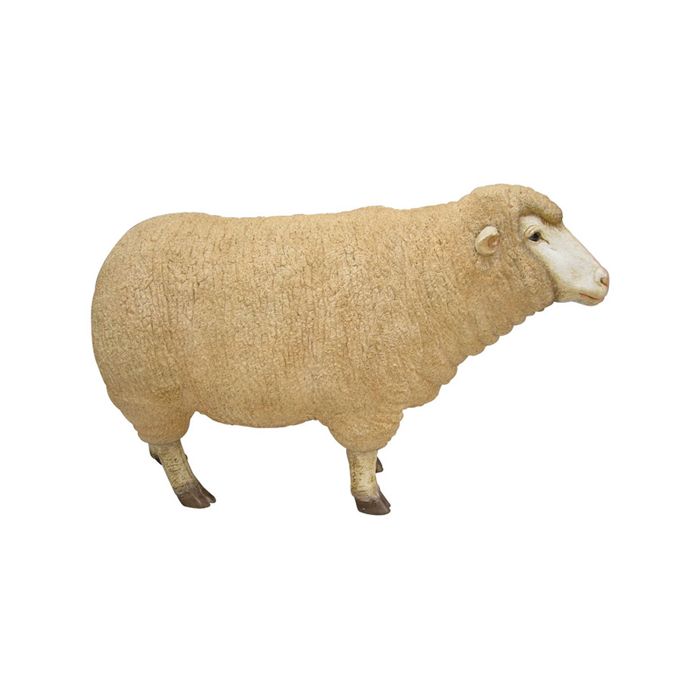 Merino Mutterschaf Kopf oben lebensgroß Deko- & Werbefigur