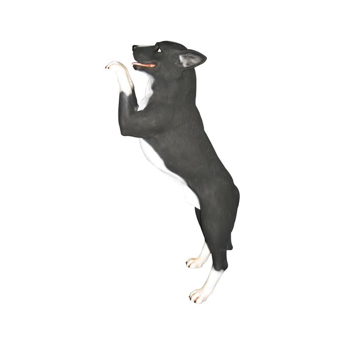 Stehender Blue Heeler lebensgroß Dekorationsfigur