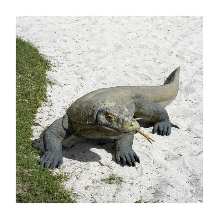 Komodo Veran lebensgroß Deko- & Werbefigur