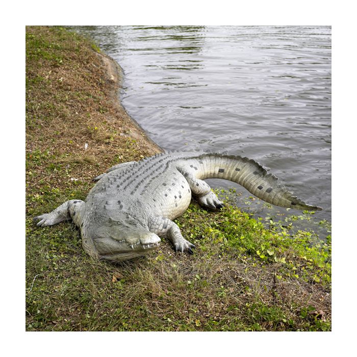 Krokodil 340cm lebensgroß Deko- & Werbefigur
