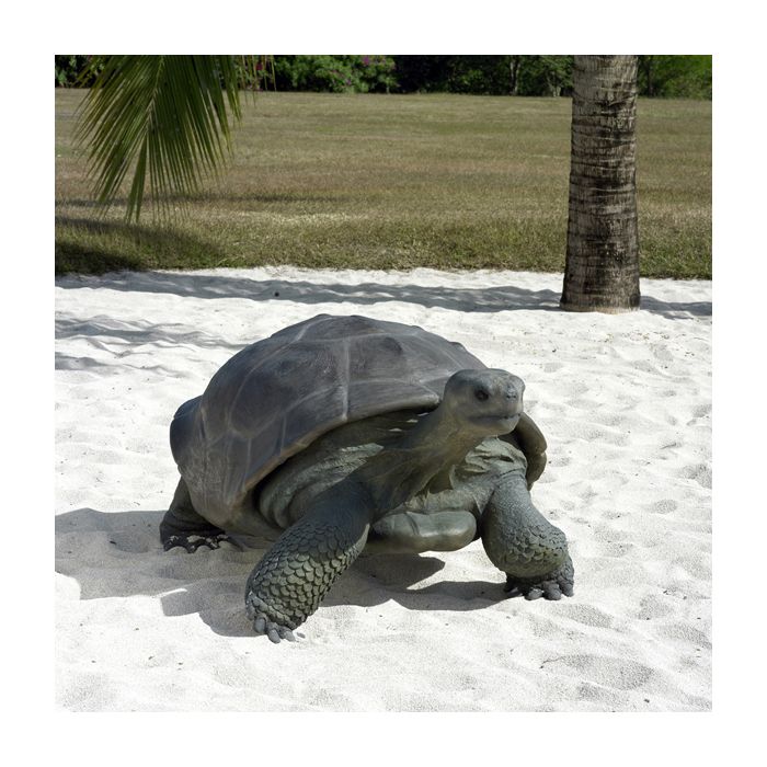 Galapagos Schildkröte lebensgroß Deko- & Werbefigur