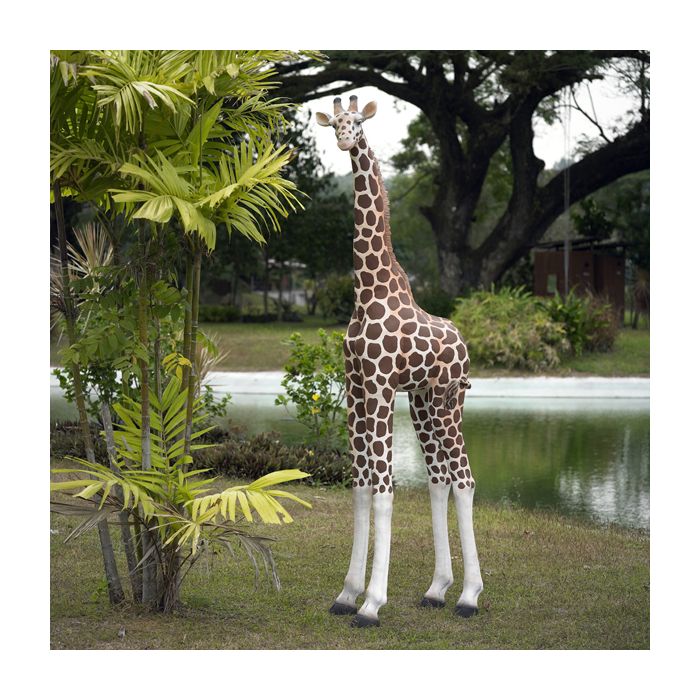 Giraffe medium lebensgroß Deko- & Werbefigur