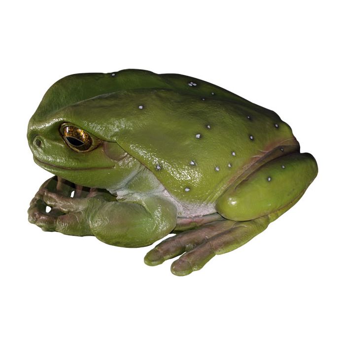 riesiger Frosch vergrößert Dekorationsfigur
