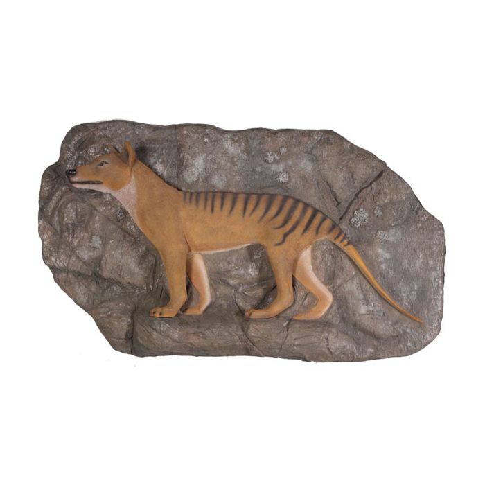 Tasmanischer Tiger auf Felsvorsprung lebensgroß Deko- & Werbefigur