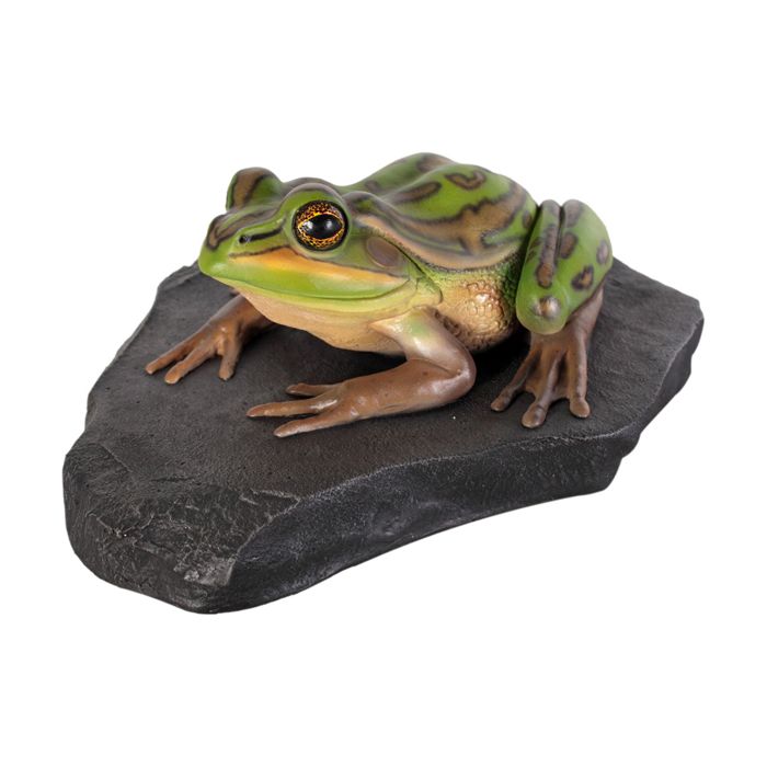 Grüner und goldener Frosch auf Stein lebensgroß Dekorationsfigur