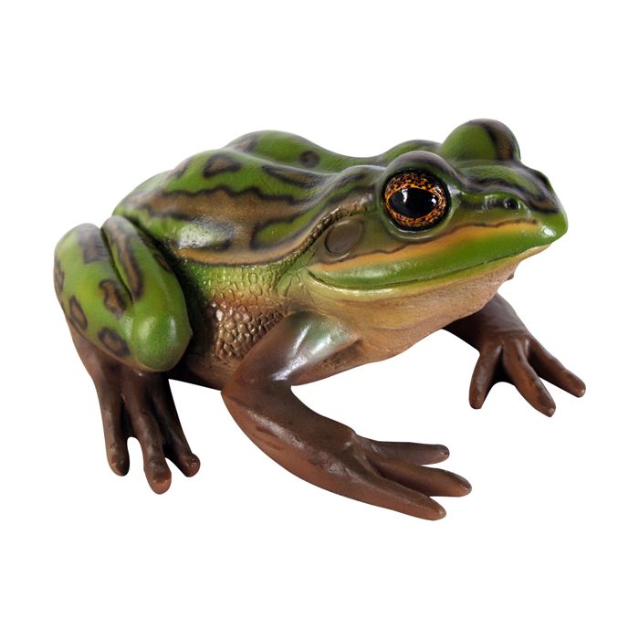 Grüner und goldener Frosch lebensgroß Dekorationsfigur