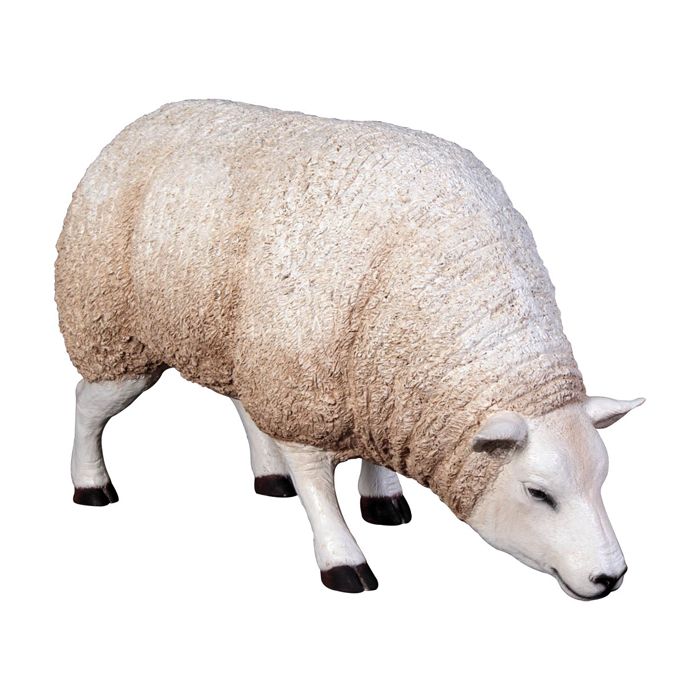 Wollschaf grasend lebensgroß Deko- & Werbefigur