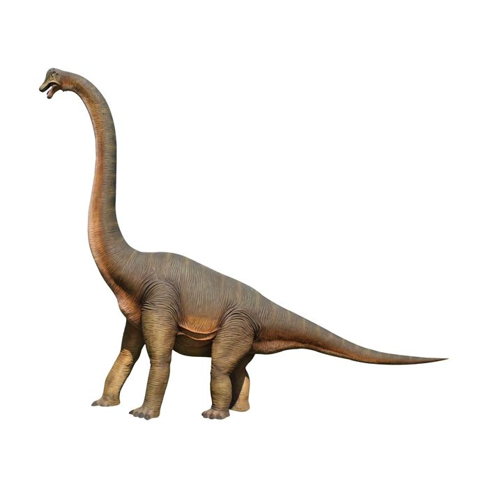Brachiosaurus lebensgroß Deko- & Werbefigur