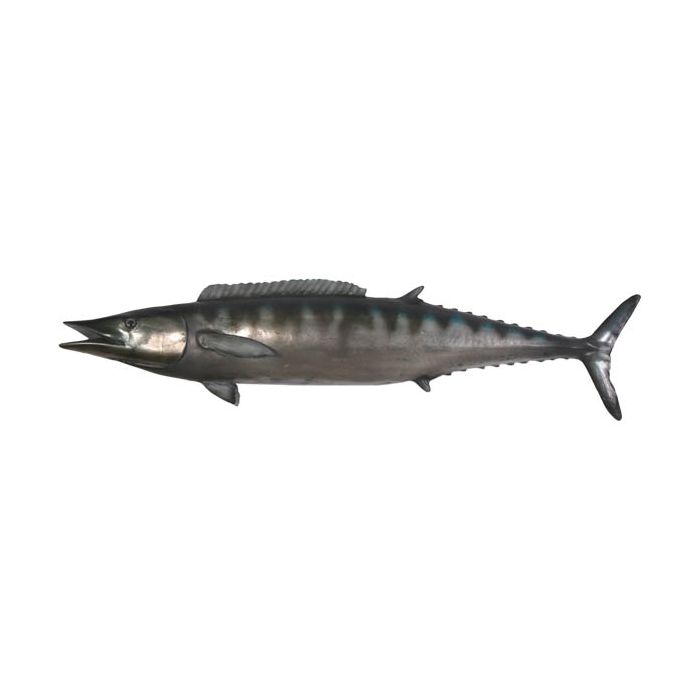 Wahoo Fisch lebensgroß Dekorationsfigur
