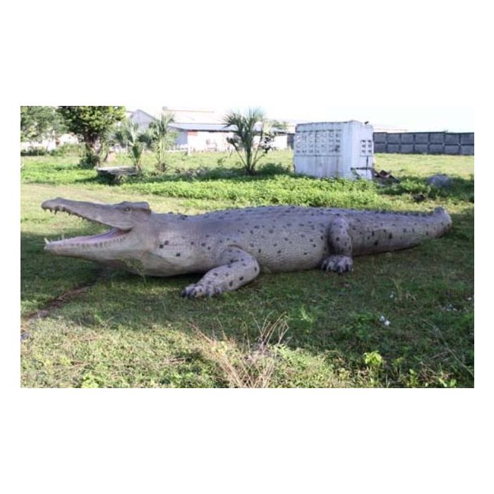 riesen Krokodil lebensgroß Deko- & Werbefigur