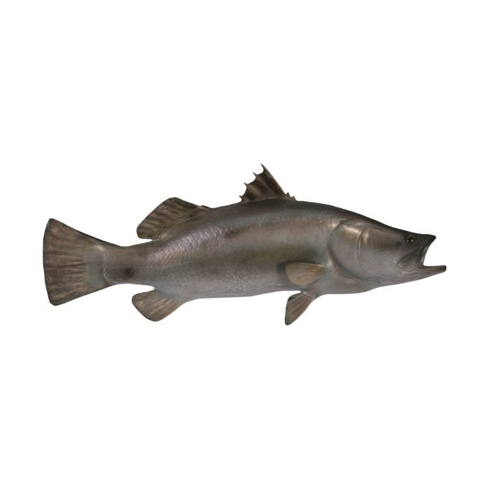 Barramundi Fisch lebensgroß Dekorationsfigur