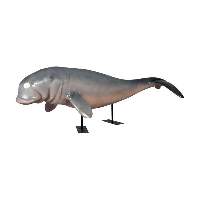 Dugong auf Metallständer lebensgroß Deko- & Werbefigur