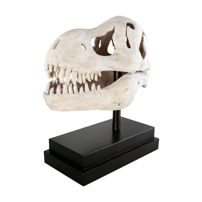 T-Rex Schädel auf Base lebensgroß Dekoköpfe & Büsten