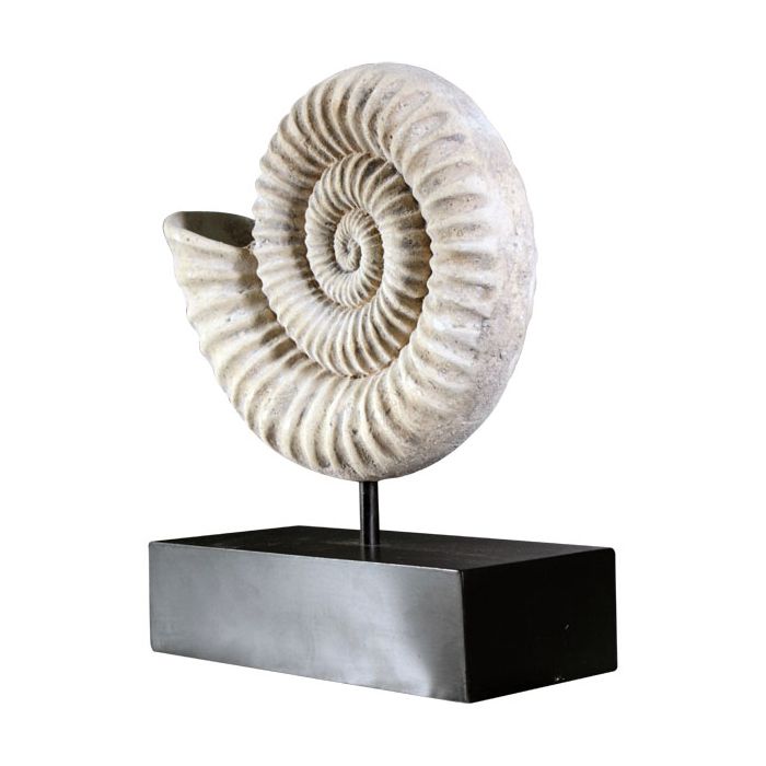 Nautilus Muschel auf Base lebensgroß Dekorationsfigur