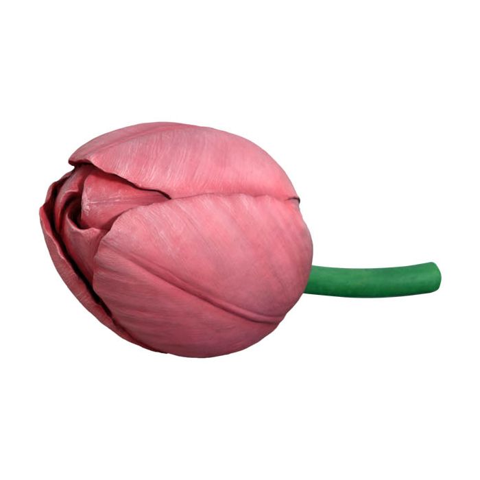 Tulpe übergroß XXL Dekorationsfigur