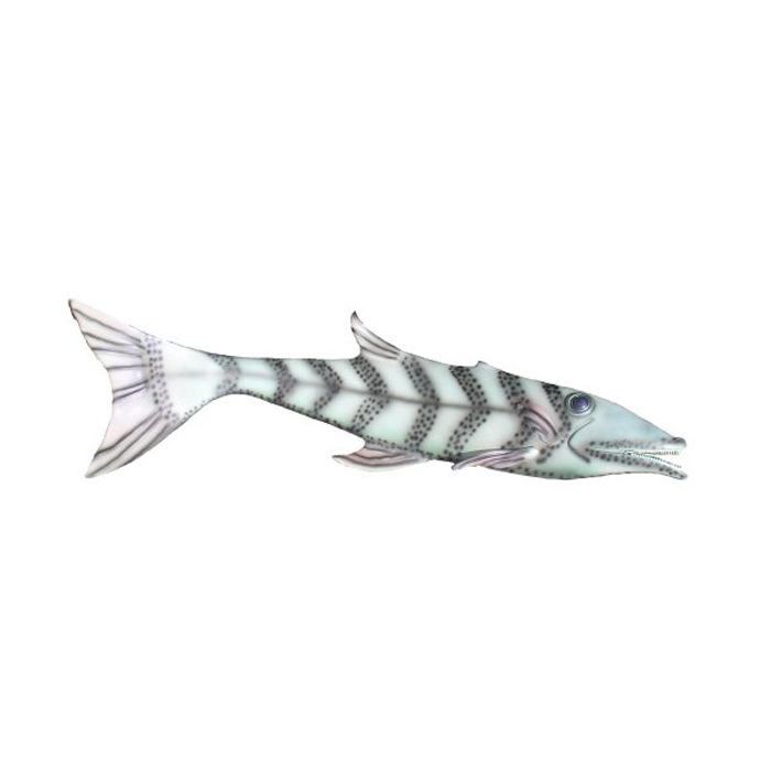 Baracuda 1 lebensgroß Dekorationsfigur