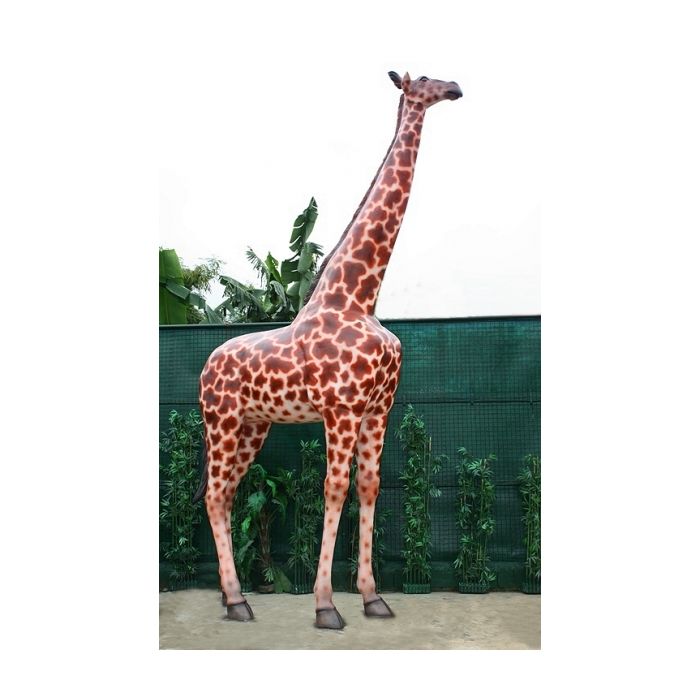 Giraffe lebensgroß Deko- & Werbefigur