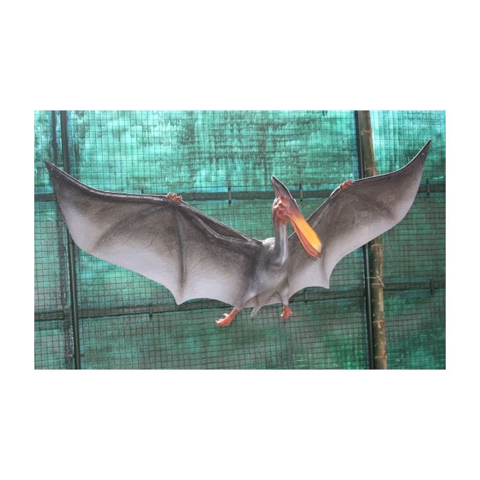 Dinosaurier Pterosaurus fliegend lebensgroß Deko- & Werbefigur