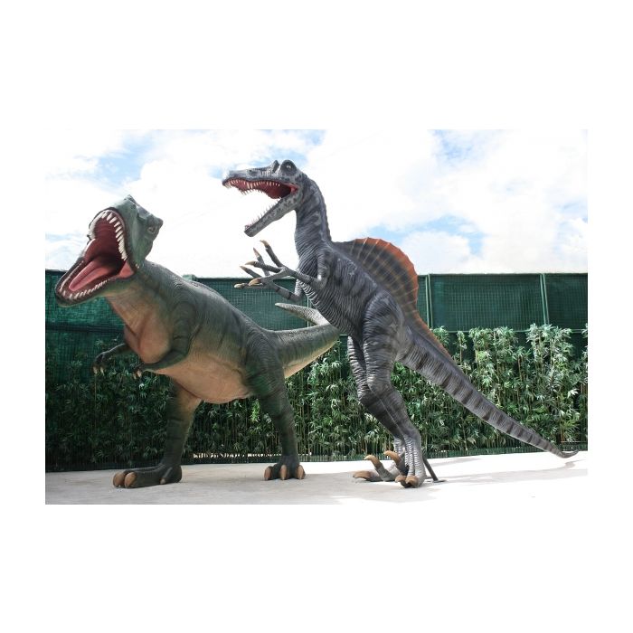 Dinosaurier Spinosaurus greift Tyrannosaurus an lebensgroß Deko- & Werbefigur
