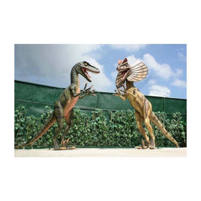 Dinosaurier Velociraptor und Dilophosaurus kämpfend lebensgroß Deko- & Werbefigur