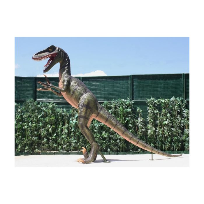 Dinosaurier Velociraptor lebensgroß Deko- & Werbefigur