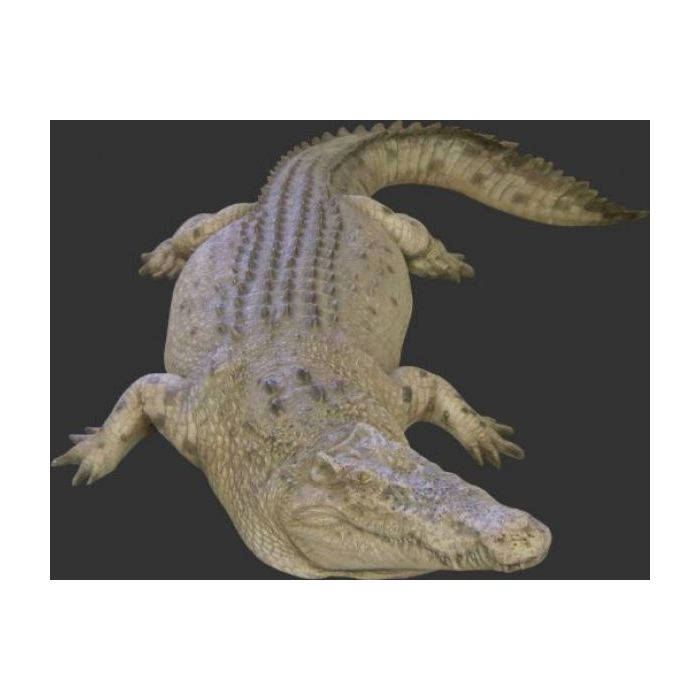Großes Krokodil lebensgroß Deko- & Werbefigur