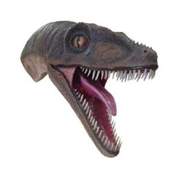 Velociraptor Kopf für die Wandmontage lebensgroß Dekoköpfe & Büsten