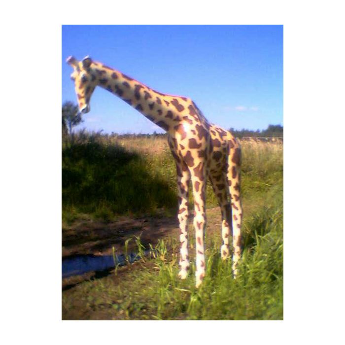 Giraffe mittel lebensgroß Deko- & Werbefigur