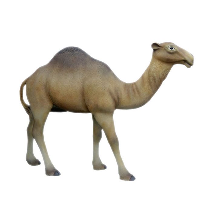 Camel  lebensgroß Deko- & Werbefigur