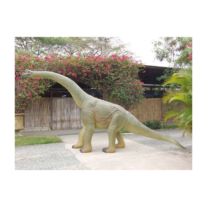 Saurier Baby Brachiosaurus lebensgroß Deko- & Werbefigur