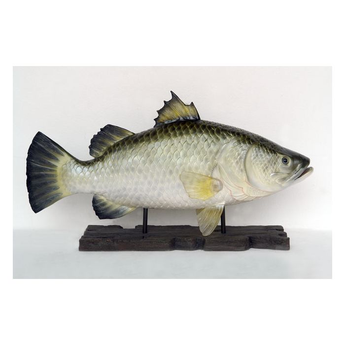 großer Barramundi Fisch auf Base lebensgroß Deko- & Werbefigur