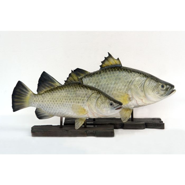 kleiner Barramundi Fisch auf Base lebensgroß Deko- & Werbefigur