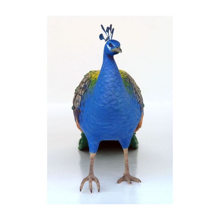 Pfau Männchen lebensgroß Deko- & Werbefigur