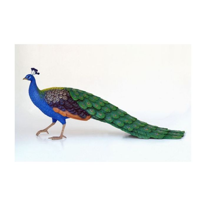 Pfau Männchen lebensgroß Deko- & Werbefigur