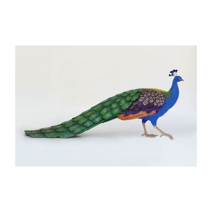 Pfau Männchen lebensgroß Deko- & Werbefigur