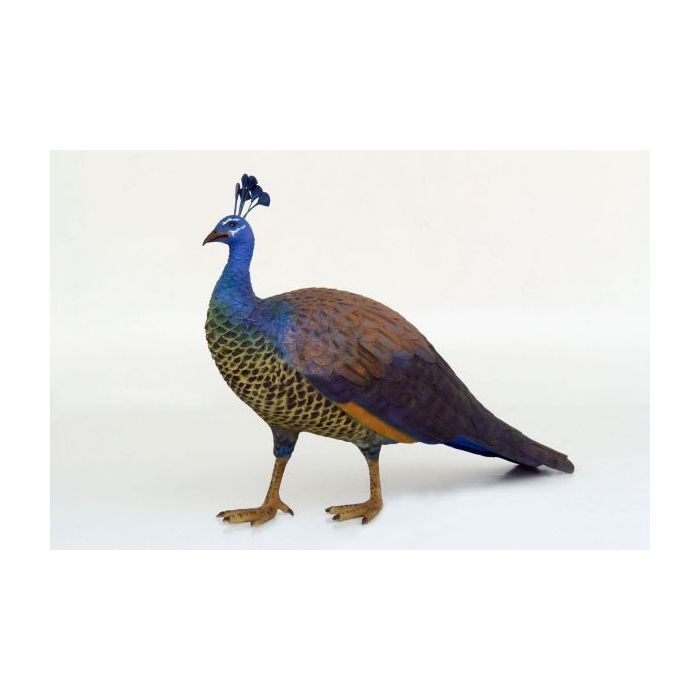 Pfau Weibchen lebensgroß Dekorationsfigur
