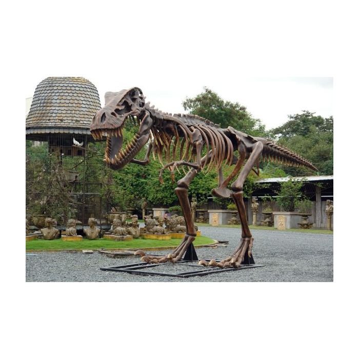 T-Rex Skelett lebensgroß Deko- & Werbefigur