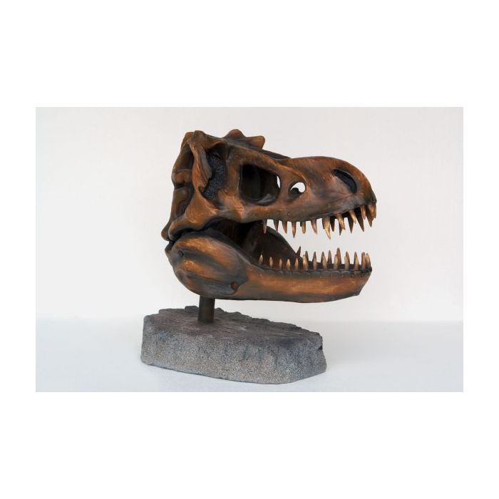 T-Rex Kopf als Skelett lebensgroß Dekoköpfe & Büsten
