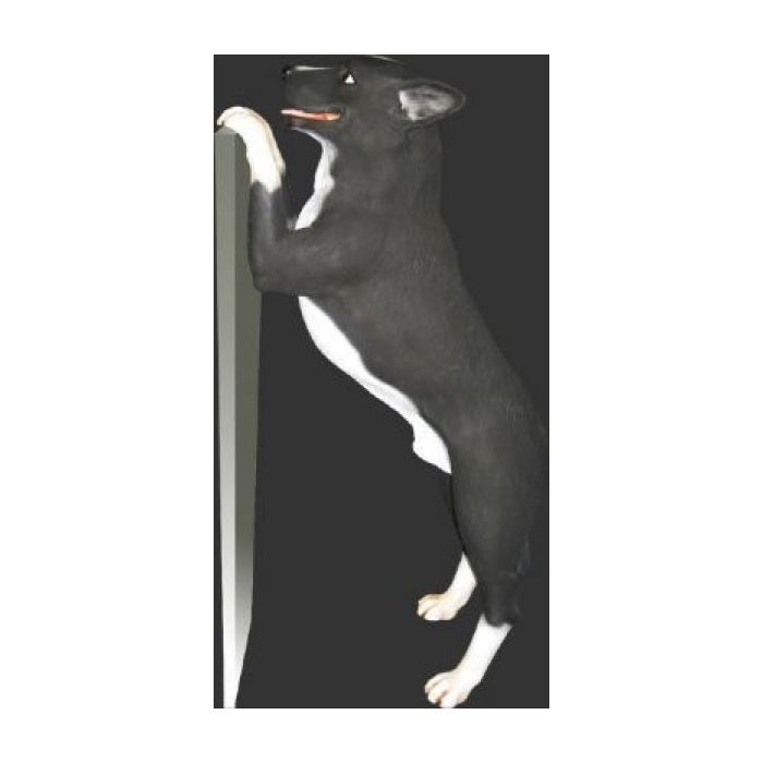 Stehender Blue Heeler lebensgroß Dekorationsfigur