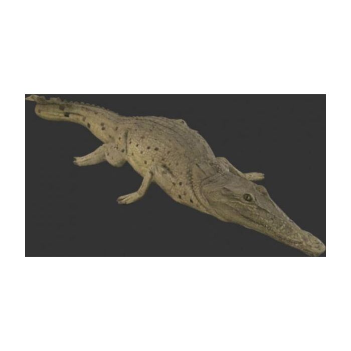 Kleines Krokodil ausruhend lebensgroß Dekorationsfigur