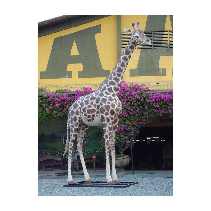 Giraffe groß lebensgroß Deko- & Werbefigur