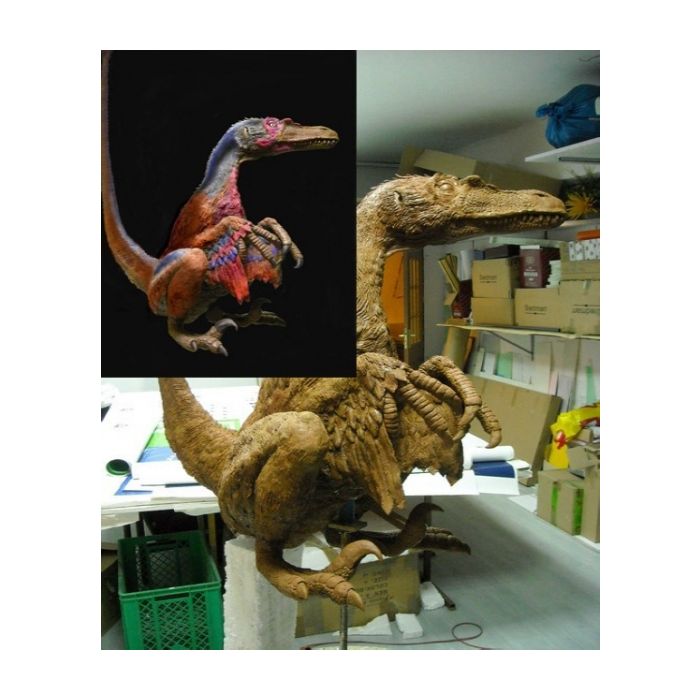 Welocyraptor lebensgroß Deko- & Werbefigur