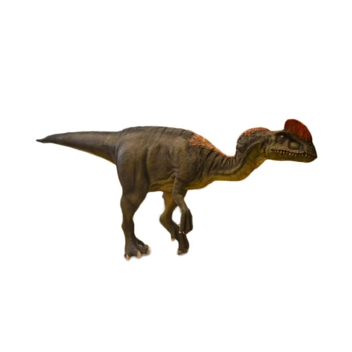 Diflonosaurus lebensgroß Deko- & Werbefigur