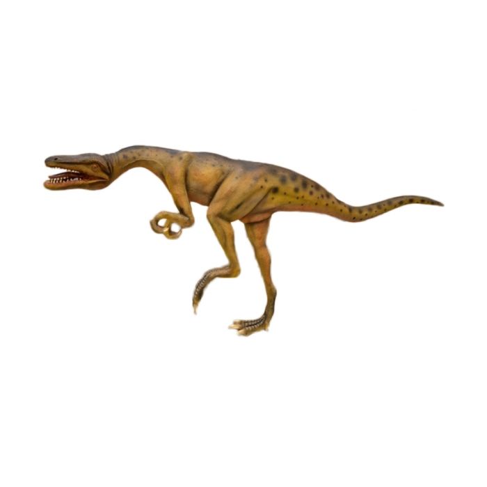 Celophysis lebensgroß Deko- & Werbefigur