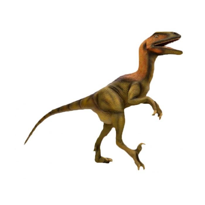 Deinonychus lebensgroß Deko- & Werbefigur