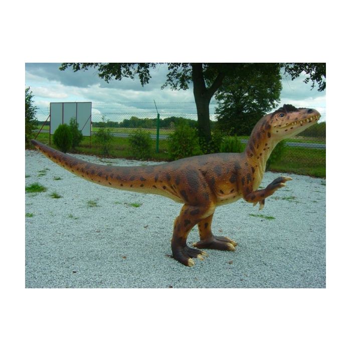 Allosaurus klein lebensgroß Deko- & Werbefigur