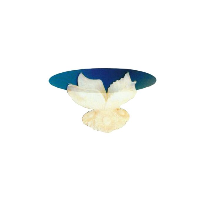 Glastisch mit Blumenmotiv vergrößert Tisch