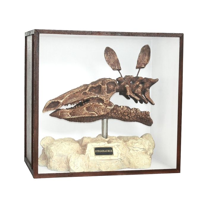 Dinosaurier Fossil Stegosaurus auf Ständer in Schaukasten lebensgroß Dekoköpfe & Büsten
