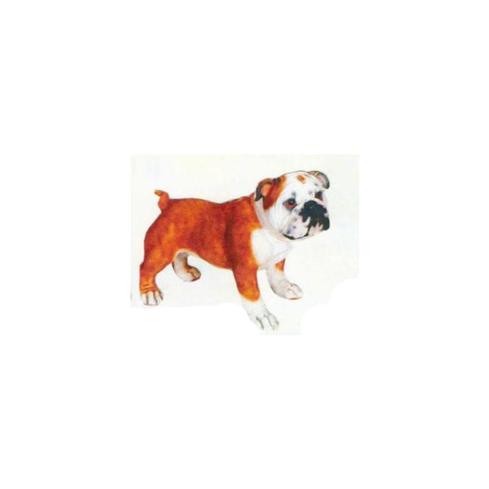 Bulldogge stehend lebensgroß Dekorationsfigur